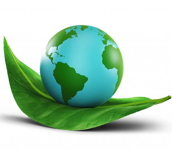 Consulting_4_Aurisys